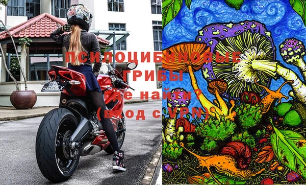 стаф Нягань