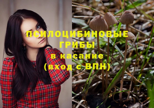 стаф Нягань