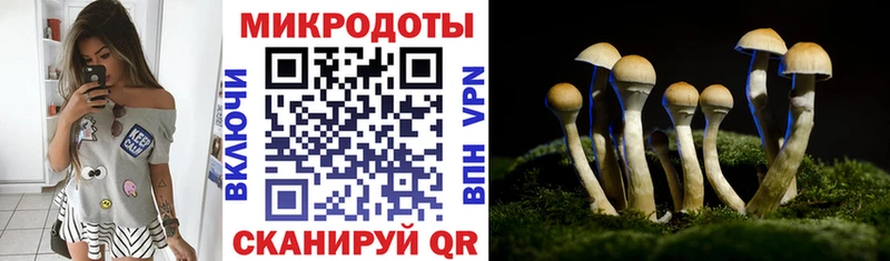 Псилоцибиновые грибы мухоморы Семёнов